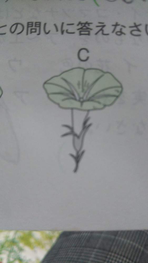 そうすけさんの投稿画像 21月1月17日 Greensnap グリーンスナップ