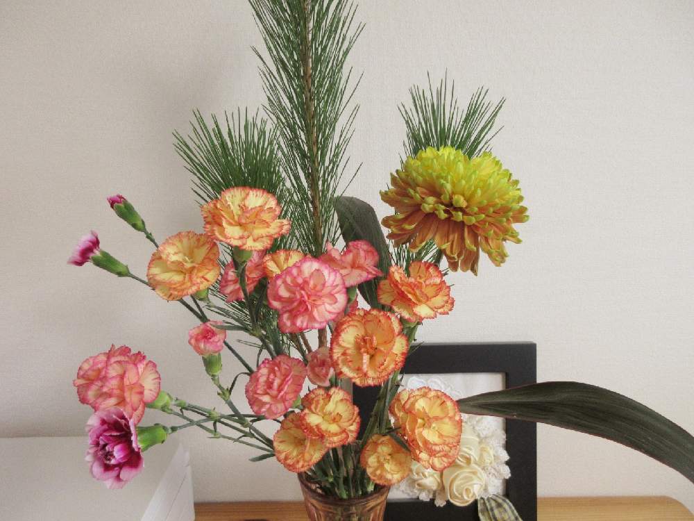 カーネーションの投稿画像 By らなさん コルジリネと若松ときく 菊と切り花と投げ入れと花のある暮らしとお花のある生活 21月1月17日 Greensnap グリーンスナップ