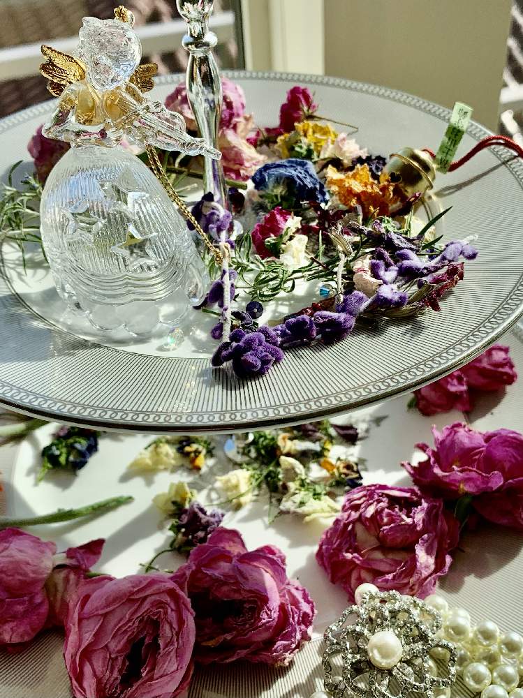 ドライフラワーの投稿画像 By フランネルさん 初参加とchopinさんのエンジェル祭り とズッキュンとバラ 好き と癒し とかわい と花のある暮らしとgs皆様ありがとうとスマホ撮り 21月1月18日 Greensnap グリーンスナップ