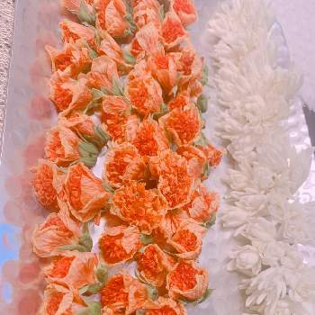特別な日の画像 by hiroさん | 部屋と良い匂いとGSでお買い物とオレンジ色の花とありがとう❤️とハワイアンレイとtuberoseとハワイと園芸初心者とレイと特別な日