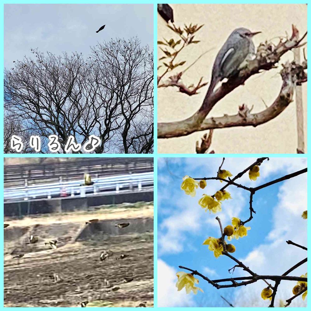 らりるん♪さんの泉区への投稿