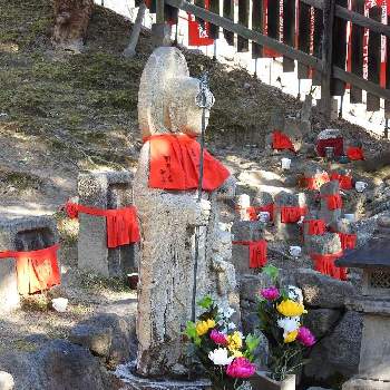 奈良公園⛲の画像 by まっさんno.1さん | お出かけ先と奈良公園⛲とGS映えとドライブとウオーキングと佇むとお地蔵様
