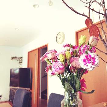 花瓶入れただけの画像 by tama_lazysmartさん | 部屋とカーネーションとトルコキキョウと切り花と花束と花瓶入れただけと切り花を楽しむ