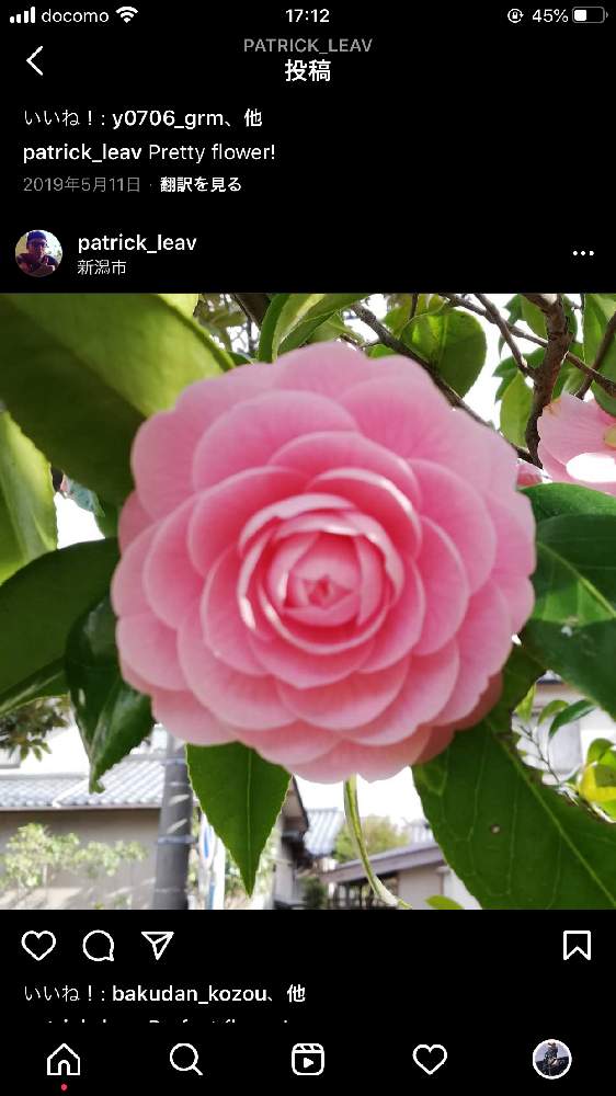 ほたるさんの投稿画像 21月1月21日 Greensnap グリーンスナップ