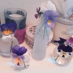 ビオラ,ガラスの花瓶,小さい花瓶,百均グッズ,百均花瓶の画像