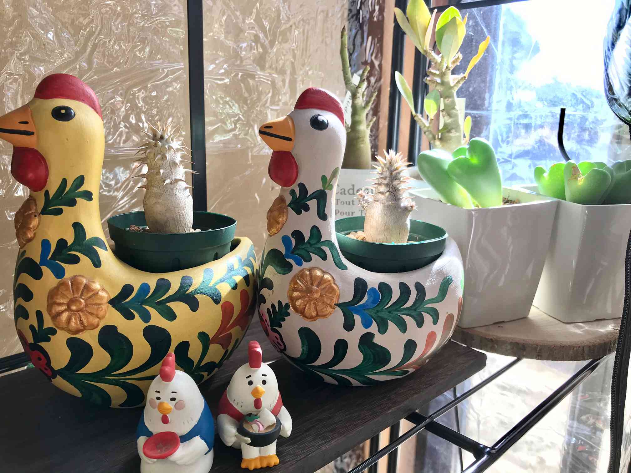 💚簡易ビニール温室💚｜🍀GreenSnap（グリーンスナップ）