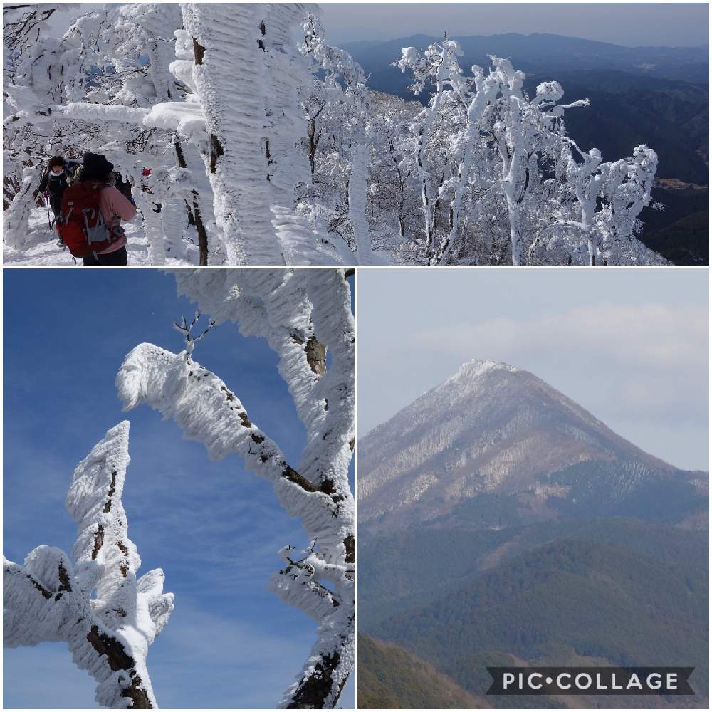 樹氷 の投稿画像 By Haruさん 雪山と霧氷と高見山 21月1月23日 Greensnap グリーンスナップ