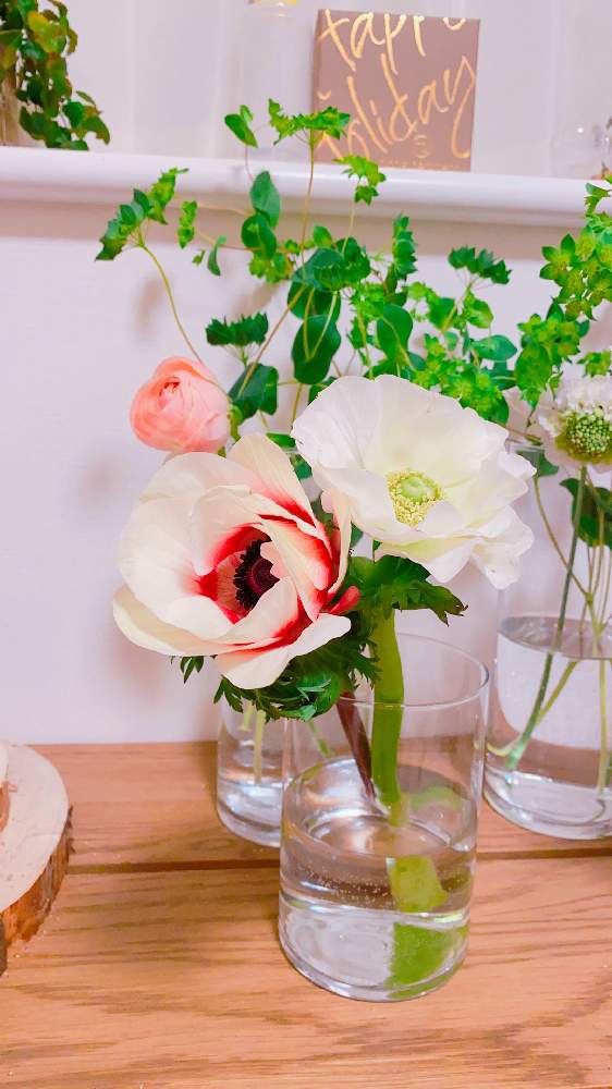 アネモネの投稿画像 By Niki 可愛いお花屋さんが好きさん 切り花とお花のある生活とガラスの花瓶と花は癒やし 21月1月23日 Greensnap グリーンスナップ