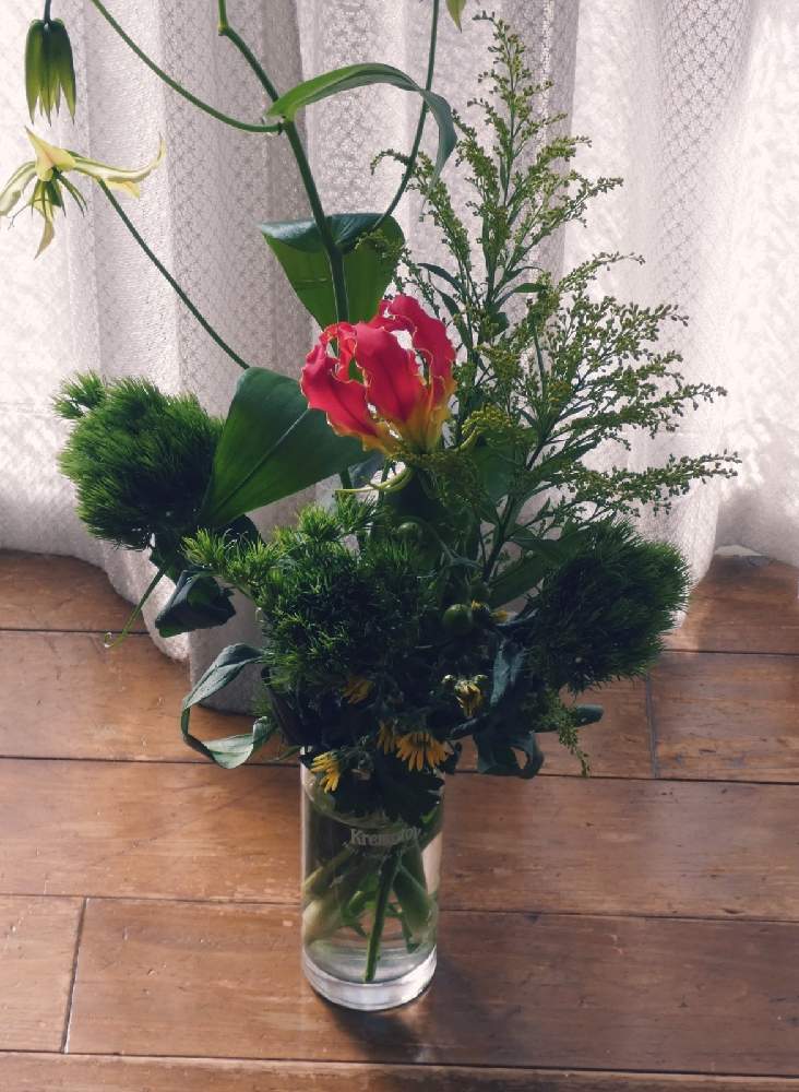 部屋の投稿画像 By Hirochan Flowersさん いつもありがとう とグロリオサの花と暖かい日差しと花瓶に生けた花と今日のお花とお花好きの人 と繋がりたいといつもありがとう とグロリオサの花と暖かい日差しと花瓶に生けた花と今日のお花とお花好きの人と繋がりたい