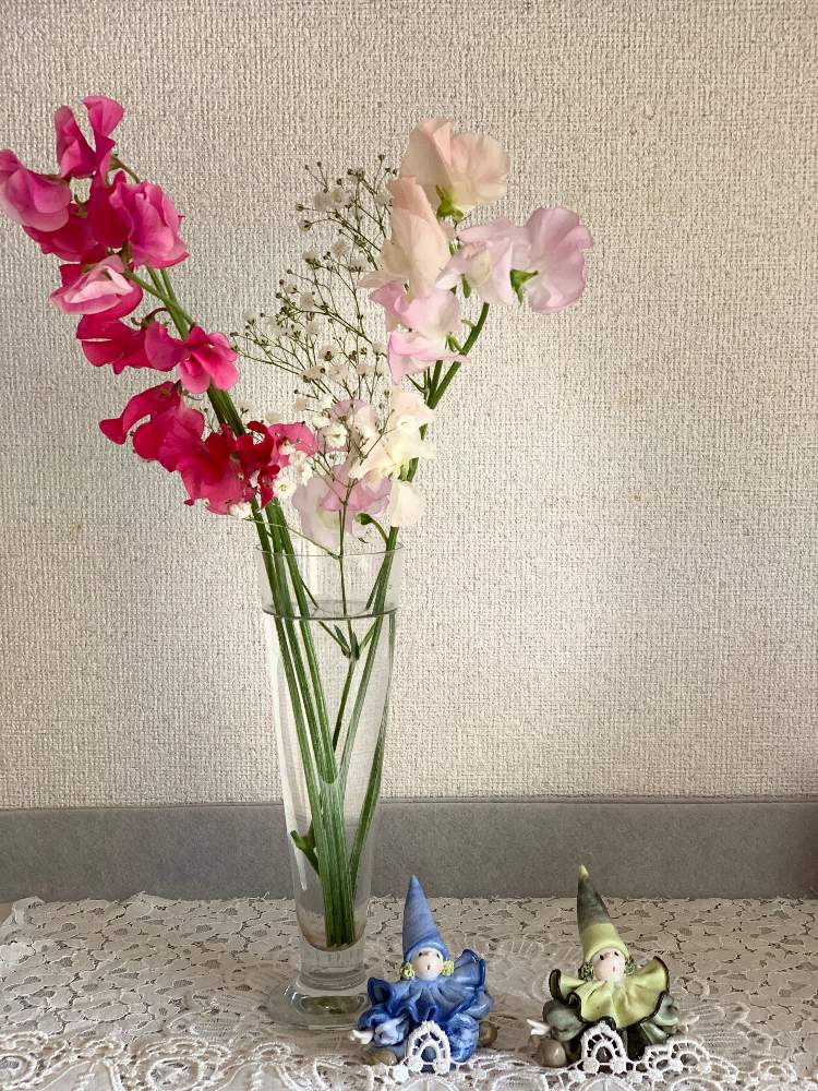 切り花の投稿画像 By えりー さん 花のある暮らしと幸せな時間とスイートピー 21月1月24日 Greensnap グリーンスナップ