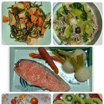 たけのこ白菜の栽培の投稿画像一覧 Greensnap グリーンスナップ