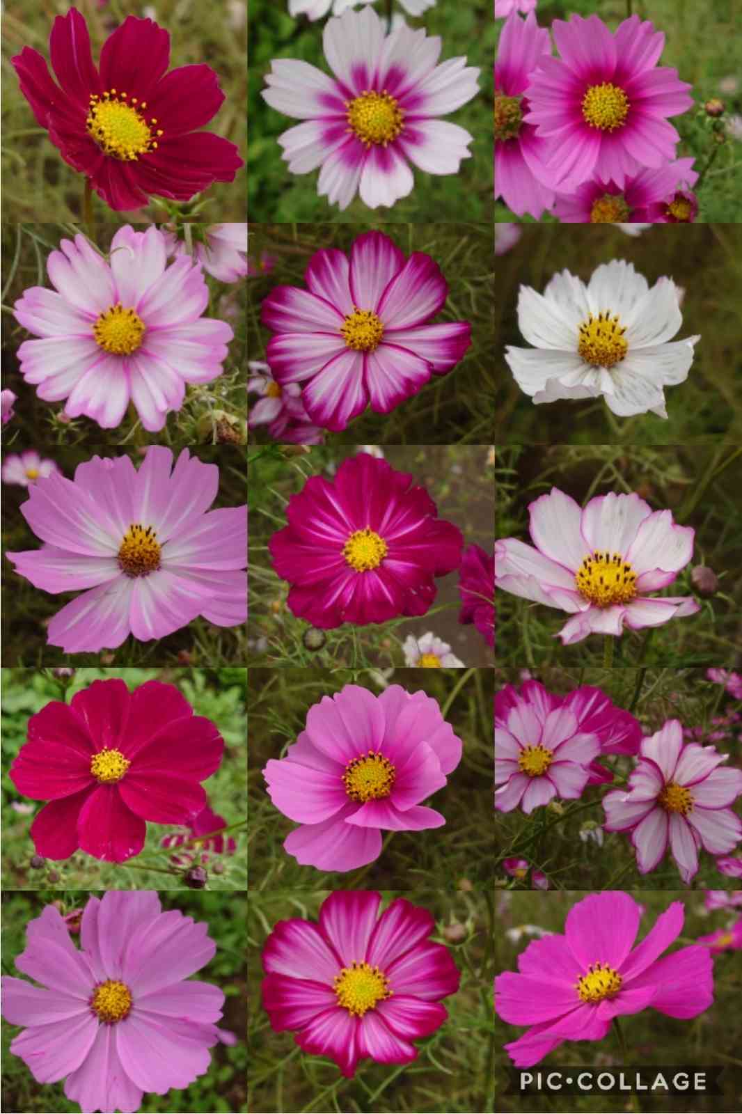 1611583737549_738088_20210125_