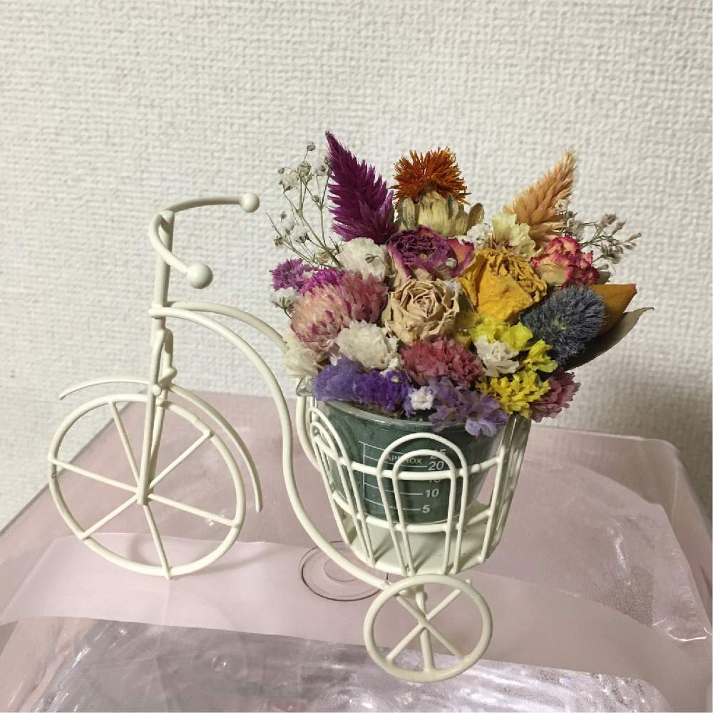 インテリアの投稿画像 By Kazumiさん 手作りとドライフラワーとアートとダイソーdiyと雑貨とハンドメイドと花のある暮らしとハンドメイド雑貨と 手作りとドライフラワーとアートとダイソーdiyと雑貨とハンドメイドと花のある暮らしとハンドメイド雑貨 21月1月26日