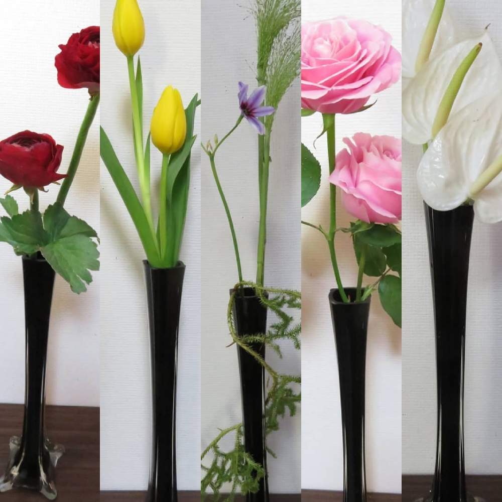 花瓶チャレンジ １月 Greensnap グリーンスナップ