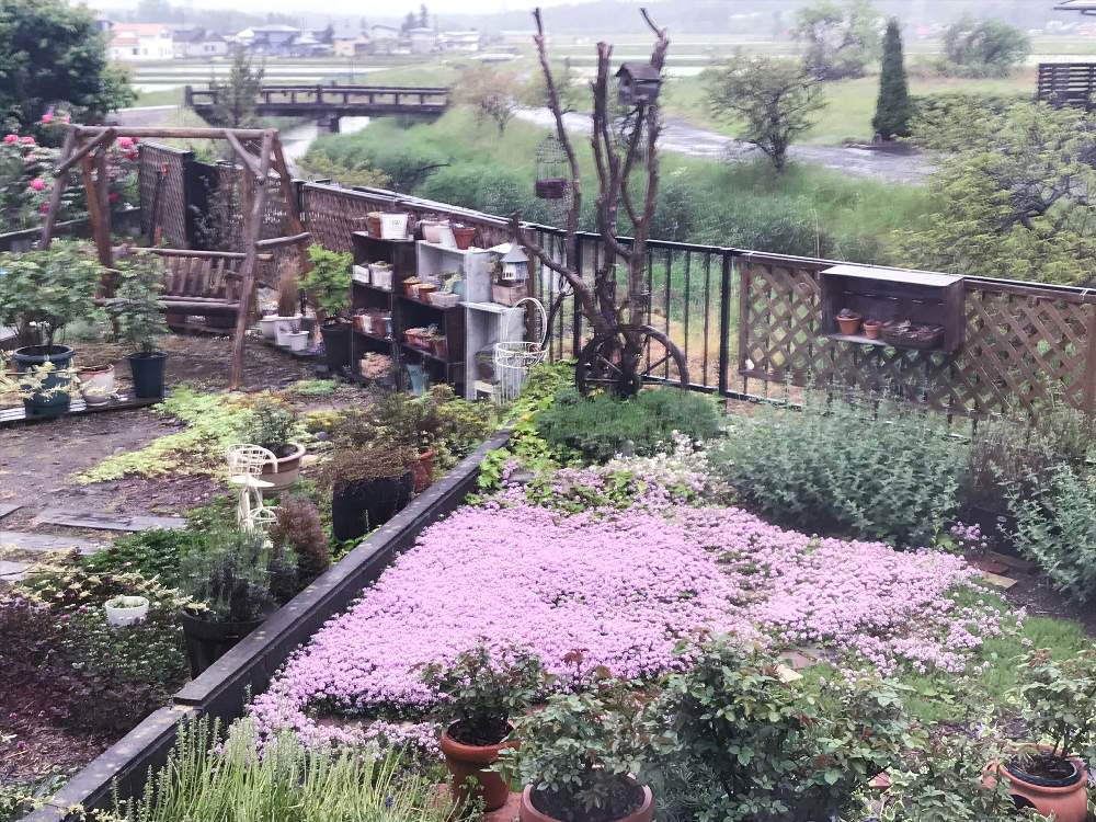 岩手県の投稿画像 By まころんさん 去年の庭と週末ガーデナーと大雪と寒冷地の庭とナチュラルガーデンと勤労婦人と手づくりの庭と寒冷地と手作りの暮らし 21月1月27日 Greensnap グリーンスナップ