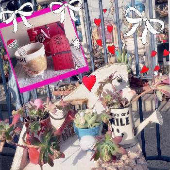 るるちゃん手作り雑貨の画像 by トワさん | 小さな庭と薄化粧とるるちゃん手作り雑貨とGSミニモニ。とバラと夢CLUBとｵｹﾂの日と繋がりに感謝✨