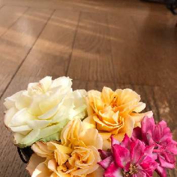アンティーク調の画像 by morinokoさん | アンティーク調と薔薇の飾りと寄せ植えとおうち園芸とミニ薔薇コルダーナとミニ薔薇