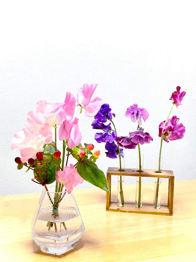 スイートピーの投稿画像 By カズさん お気に入りの器や花瓶と植物とアレンジ 21月1月31日 Greensnap グリーンスナップ