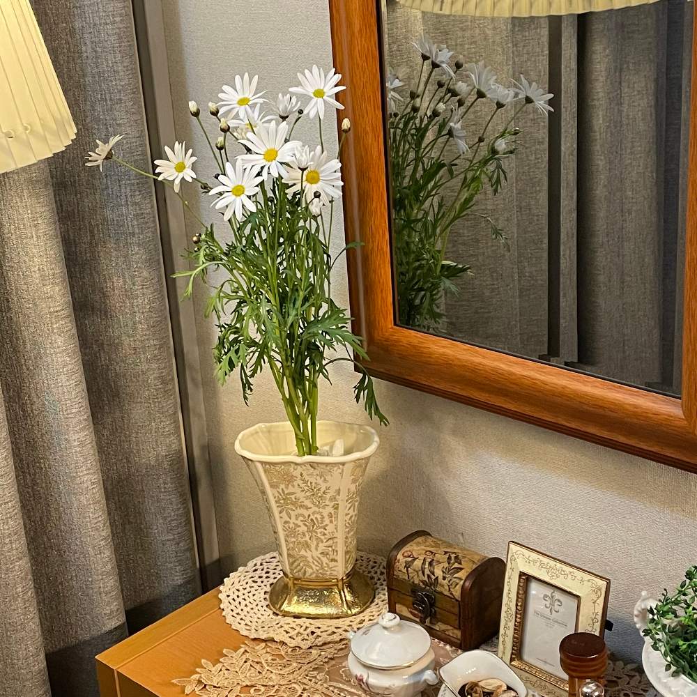 マーガレット 木春菊 の投稿画像 By Grace Placeさん 花言葉と花のある暮らしと誕生花とgs映え 21月2月1日 Greensnap グリーンスナップ