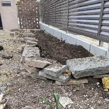 石積みの投稿画像一覧 Greensnap グリーンスナップ