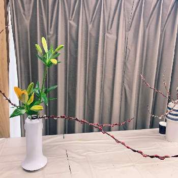 瓶花の画像 by sao726さん | 百合と赤芽柳と小原流生け花とかたむけるかたちと小原流と瓶花と生け花初心者と花のある暮らしと生け花
