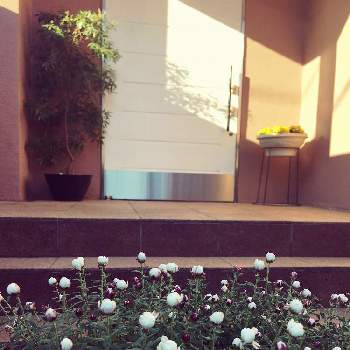 プライベートサロンの画像 by e-sakuraさん | 花かんざしと花のある暮らしとプライベートサロンとエステティックサロン