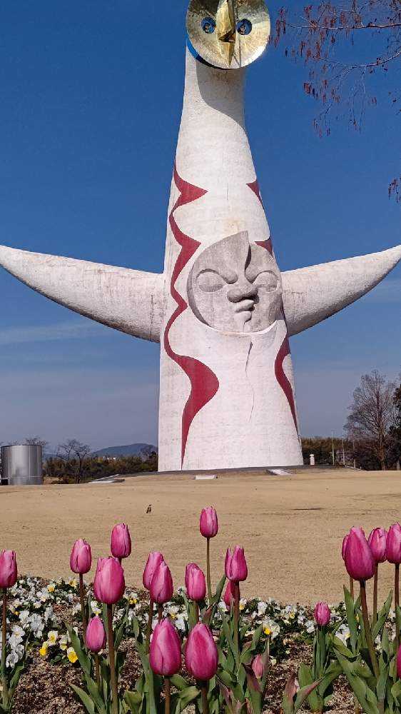 万博記念公園 クリスマスローズの寄せ植えと梅林 Greensnap グリーンスナップ