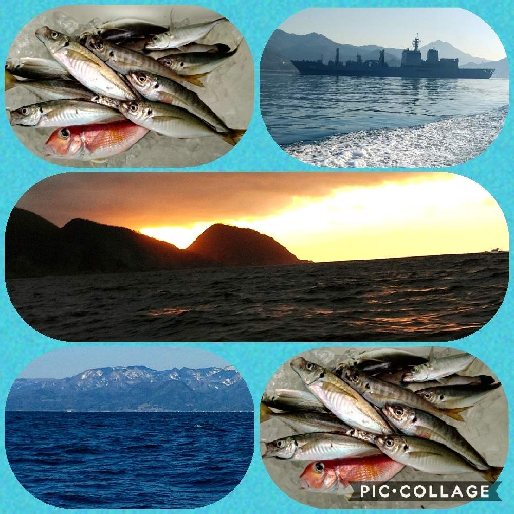 魚入れ食いさんの投稿画像 21月2月6日 Greensnap グリーンスナップ