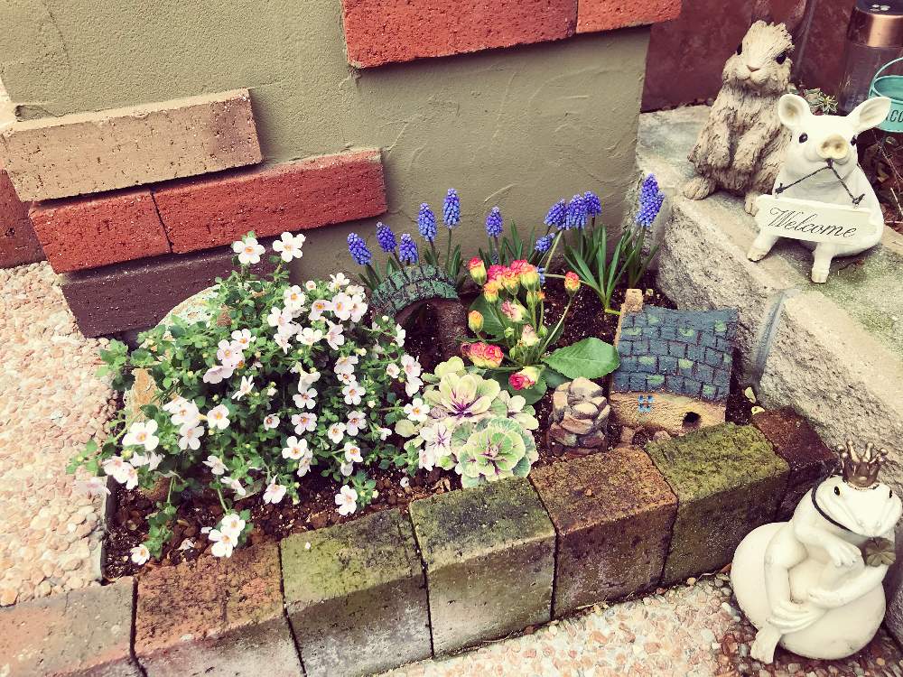 オーナメントの投稿画像 By あんこさん ガーデンオーナメント 21月2月7日 Greensnap グリーンスナップ