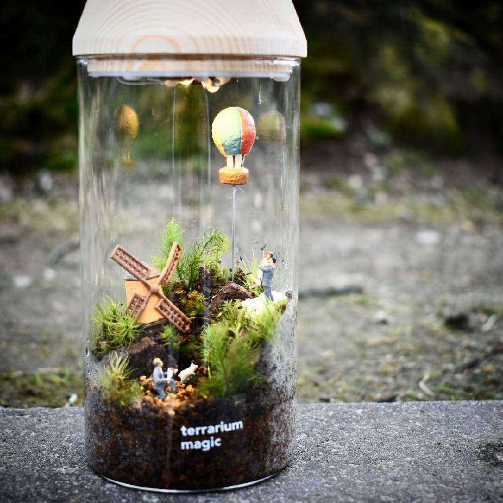 植物のある暮らしの投稿画像 By Terrarium Magicさん 苔 コケ と癒しとミニチュアと癒しの植物とgs映えとインテリアと植物 と緑のある暮らしと販売用と苔のある風景と苔テラリウムと緑のある生活とgreen Up と苔好きとインテリアグリーンとグリーン 21月2月8日