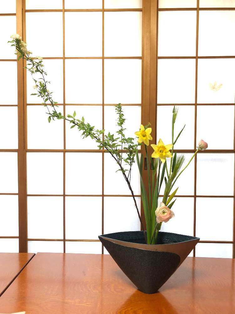 和室の投稿画像 By ゆうさん 21月2月8日 Greensnap グリーンスナップ