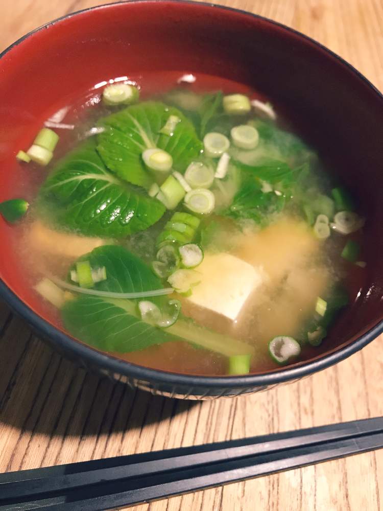 水菜の投稿画像 By みのっちさん ネギと小松菜と大根葉と大根葉と再生野菜 21月2月8日 Greensnap グリーンスナップ