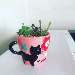 タマゴパックで簡単挿し木 Greensnap グリーンスナップ