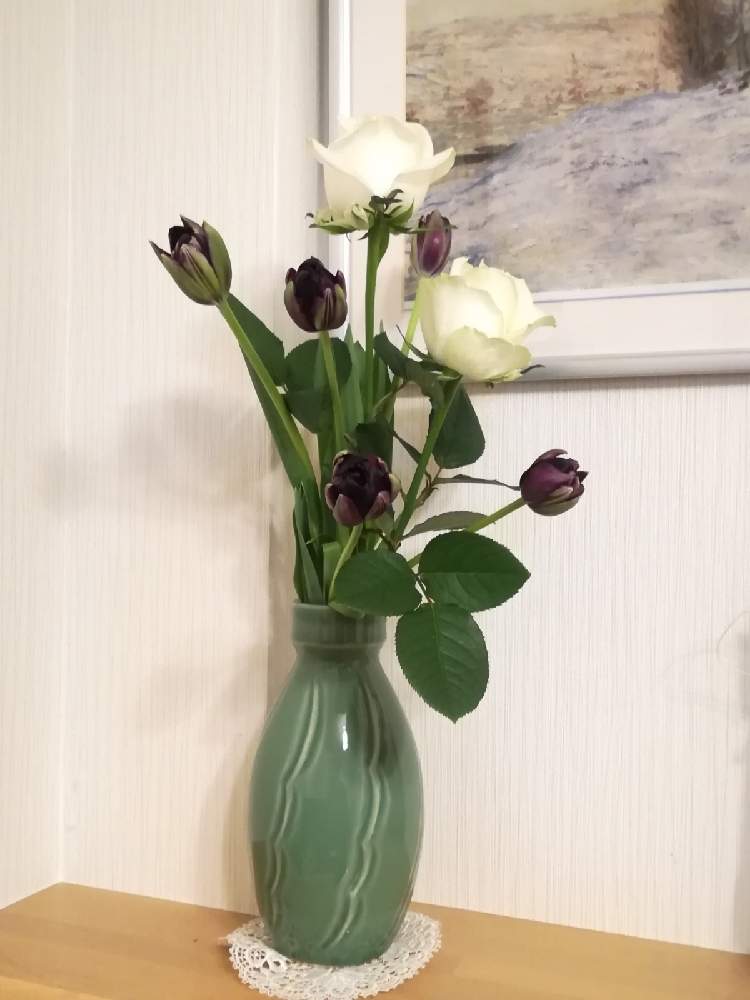 チューリップの投稿画像 By アネモネさん バラと花を飾るとお部屋に花をと生花といけばなと部屋を飾ると花のある暮らしと切り花と生け花 21月2月10日 Greensnap グリーンスナップ