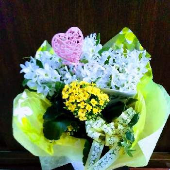 花の宅配便の投稿画像一覧 Greensnap グリーンスナップ