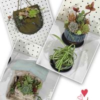 手作り,展示会/H,お出かけ先の画像