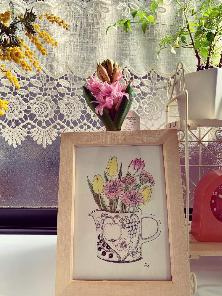 観葉植物の投稿画像 By 薔薇大好きキョウチャンさん 注文住宅とペン画と花のある暮らしと小さな家と ミモザと窓辺と刺繍絵画と絵のある暮らしと観葉植物と注文住宅とペン画と花のある暮らしと小さな家と ミモザと刺繍絵画と絵のある暮らし 21月2月19日 Greensnap