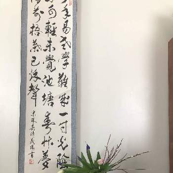 サンゴミズキ✨の画像 by sasukemama（T・Henty）さん | 和室とフレッシュフラワーアレンジメントとアイリスの花と生け花のある暮らしと ネコヤナギと チューリップと緑のある暮らしと花のある暮らしとサンゴミズキ✨とアレンジメントと生け花