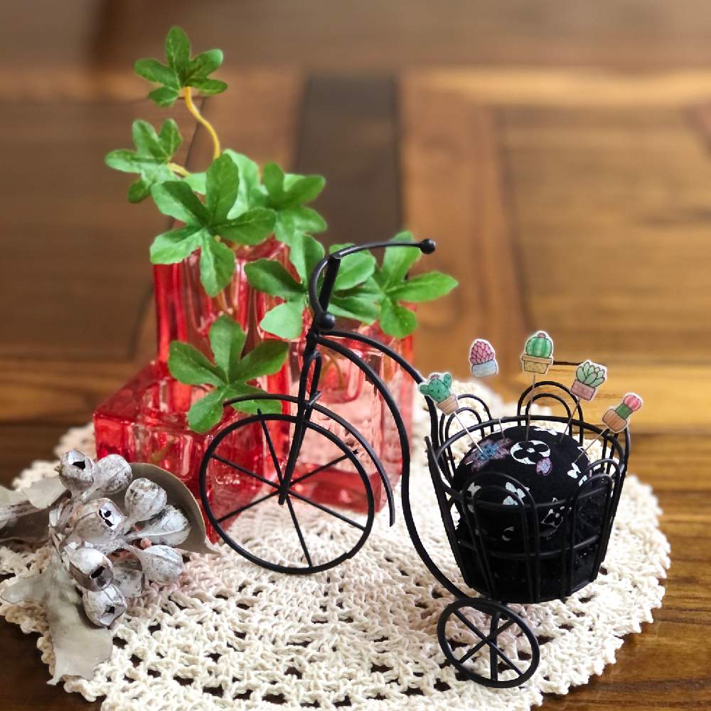 100均雑貨の投稿画像 By Makipiさん 多肉のマチ針と手作り大好きとバラと夢clubと手作り針山とインテリア雑貨とシュガーバインはフェイクとユーカリドライとかわいいね とレース編み 21月2月21日 Greensnap グリーンスナップ