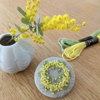 刺繍の投稿画像一覧 Greensnap グリーンスナップ