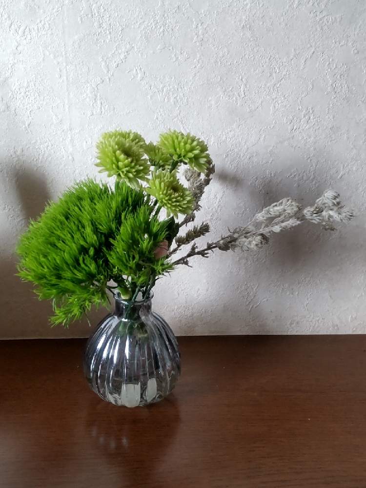 アルテミーシャの投稿画像 By ハイオクさん スプレー菊とてまり草と花のある暮らしと魔法の花瓶と花のある暮らしと魔法の花瓶 21月2月22日 Greensnap グリーンスナップ Greensnap グリーンスナップ