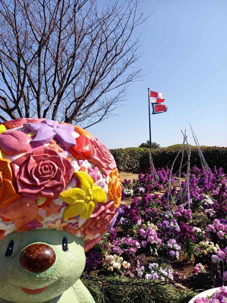 せつ工房さんの港の見える丘公園への投稿