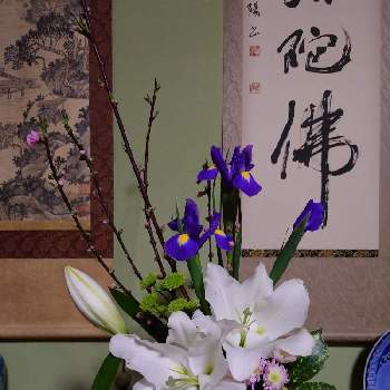 桃の節句アレンジメントの投稿画像一覧 Greensnap グリーンスナップ