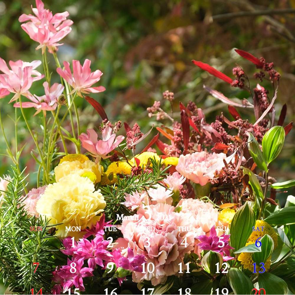 カーネーションの投稿画像 By イノチオ精興園 E Mumshopさん スプレーマム 黄とカーネーション とスプレー咲きと切り花とカーネーション 21月2月24日 Greensnap グリーンスナップ