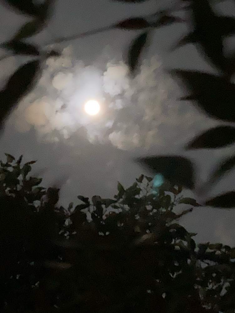 月と雲と夜の投稿画像 By 里はんさん スマホで撮影と夜の空とコロナに負けないでとありのままに 21月2月25日 Greensnap グリーンスナップ