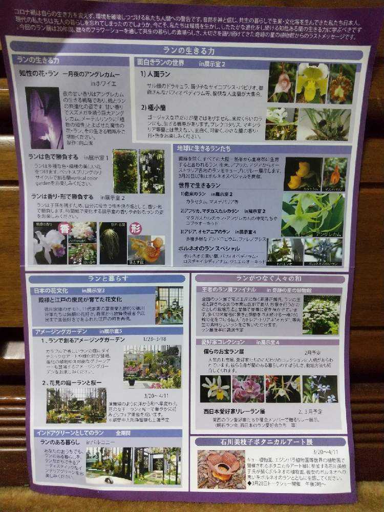 21 淡路夢舞台ラン展 にて Greensnap グリーンスナップ