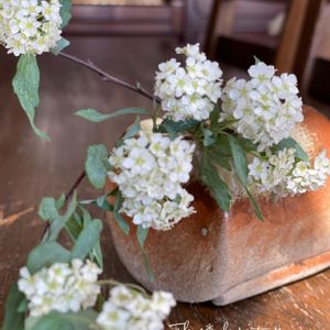 花のある暮らし,花を飾る,白。,手作りの器,小手毬♡の画像