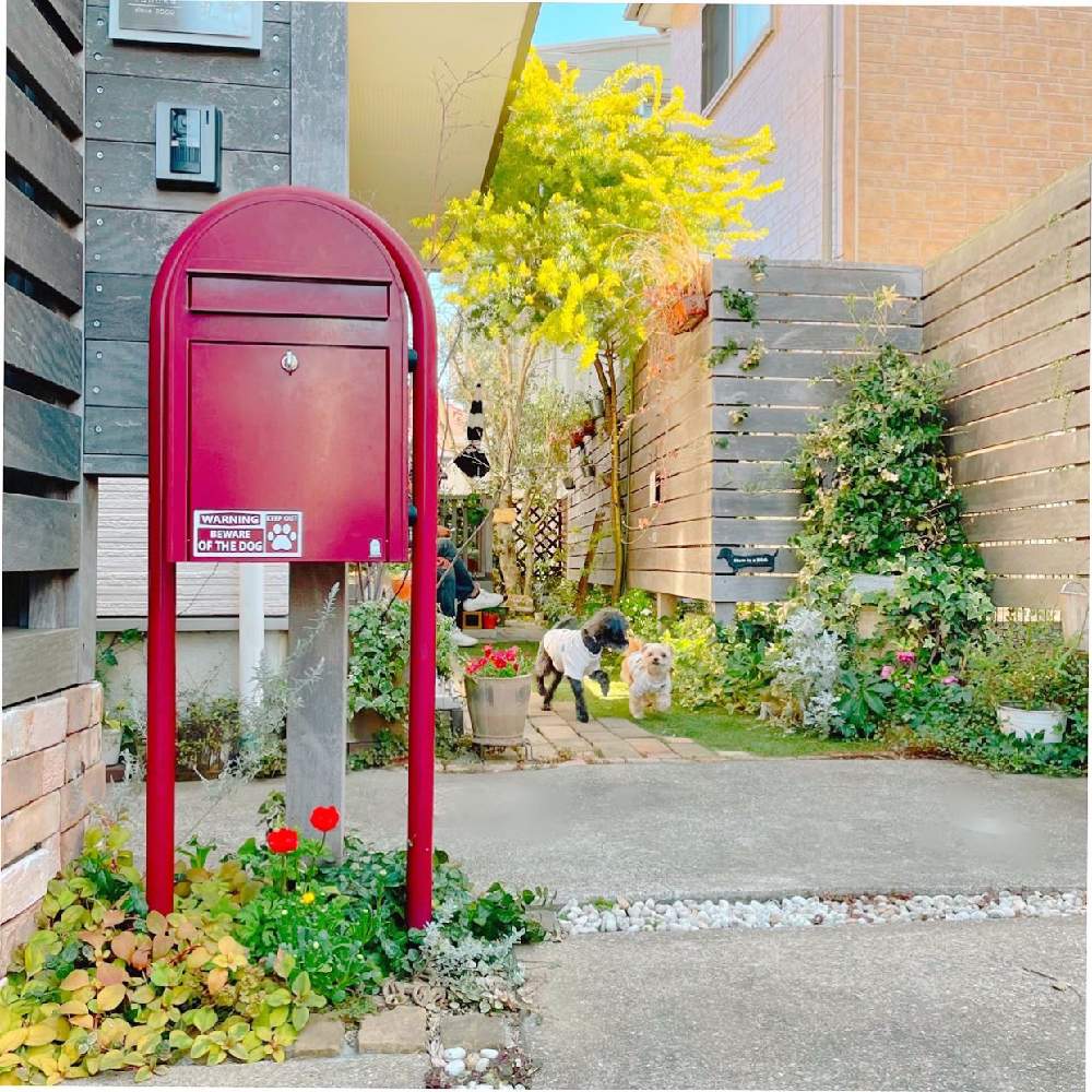 シンボルツリーの投稿画像 By Risaさん 花壇と自己流と庭づくりとナチュラルスタイルと手づくりの庭とガーデニングと花のある暮らしとジャンクガーデンとig Risa6100と外構 21月2月27日 Greensnap グリーンスナップ