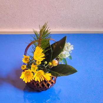 お気に入りの器や花瓶と植物の画像 by 圭さん | ツバキとマツと小菊とコデマリと日本の文化とお気に入りの器や花瓶と植物と和風ティストと日本の伝統と自由花といけばなとミニいけばなと花のある暮らしと生け花とペットの供花