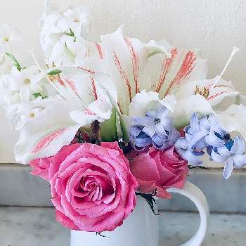 お気に入りの器や花瓶と植物の画像 by Yo4649さん | キッチンと植物のある暮らしとお気に入りの器や花瓶と植物と花のある暮らしと生け花といやし♪